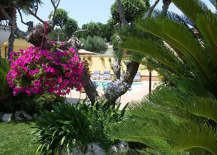Bed & Breakfast Alba Chiara