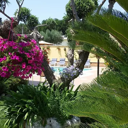 Bed & Breakfast Alba Chiara